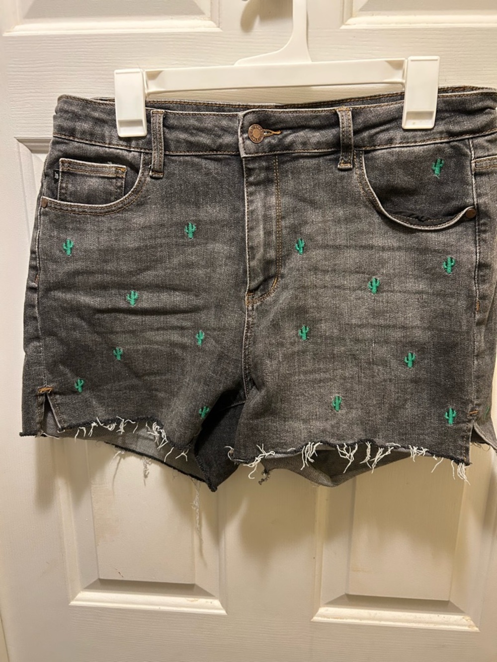 Judy Blue Black Denim Shorts with Green Cactus Embroidery
